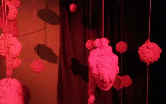 Immagine rose rosse